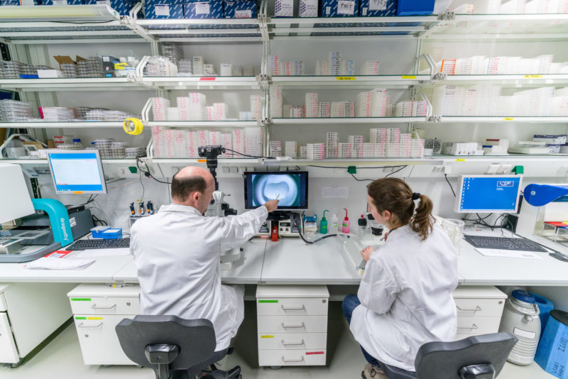 Science photography: In the laboratory of the Department of Biochemistry at the Max Planck Institute for Developmental Biology in Tübingen.