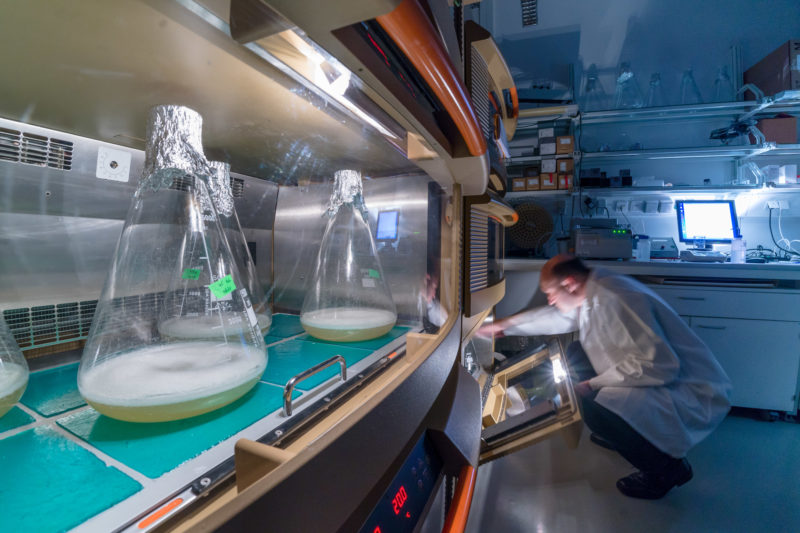 Wissenschaftsfotografie: Im Labor der Abteilung Biochemie am Max-Planck-Institut für Entwicklungsbiologie in Tübingen.