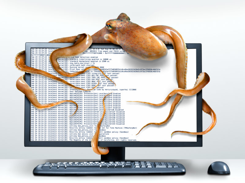 Photomontage with Photoshop: Icon image for data theft: The tentacles of a data stealing octopus wrap around a computer monitor.