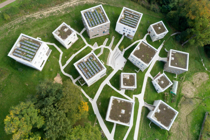 Aerial and Drone photography: View of a collection of modern houses from above. They are all surrounded by trees and grass and you can see the overgrown flat roofs.