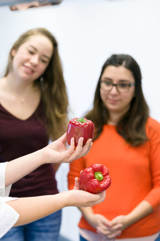 Reportagefotografie: Studentinnen der Ernährungswissenschaften betrachten zwei reife Paprikaschoten.