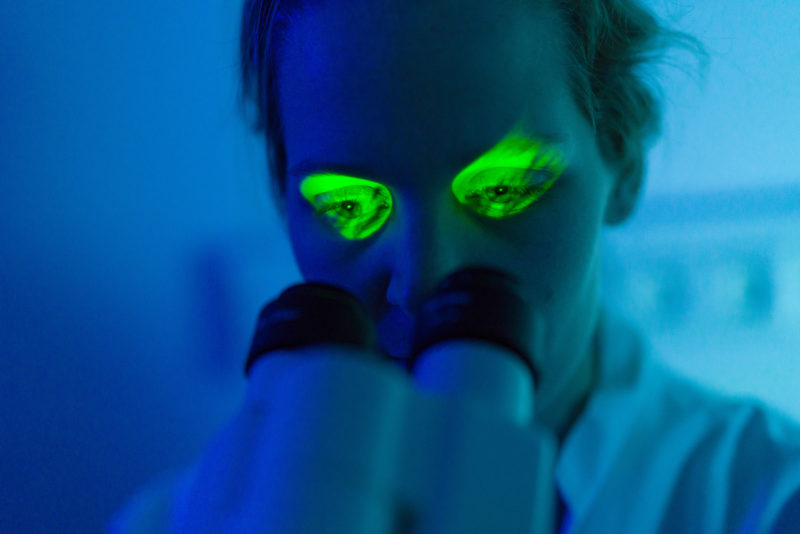 Wissenschaftsfotografie: Eine Forscherin am Mikroskop bei der Untersuchung von Gewebeproben am Max-Planck-Institut für medizinische Forschung in Heidelberg. Licht aus den Okularen des Mikroskops lässt ihre Augen im dunklen Labor grün leuchten.