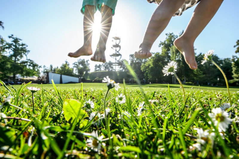 Two children jump into the air on a green meadow. You can only see their bare legs and the rays of the sun behind them. Large in the foreground are blades of grass and daisies.