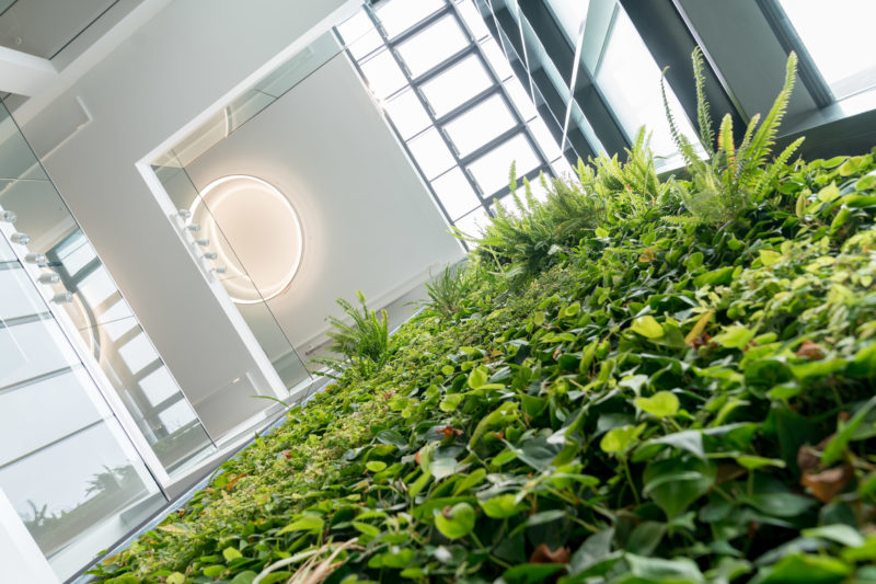 Architekturfotografie: In einer Firmenzentrale wurde eine über alle Stockwerke gehende Wand im Treppenhaus mit senkrecht angewurzelten Pflanzen begrünt. Blick von unten senkrecht nach oben an die mit einer modernen runden Leuchte versehene Decke.