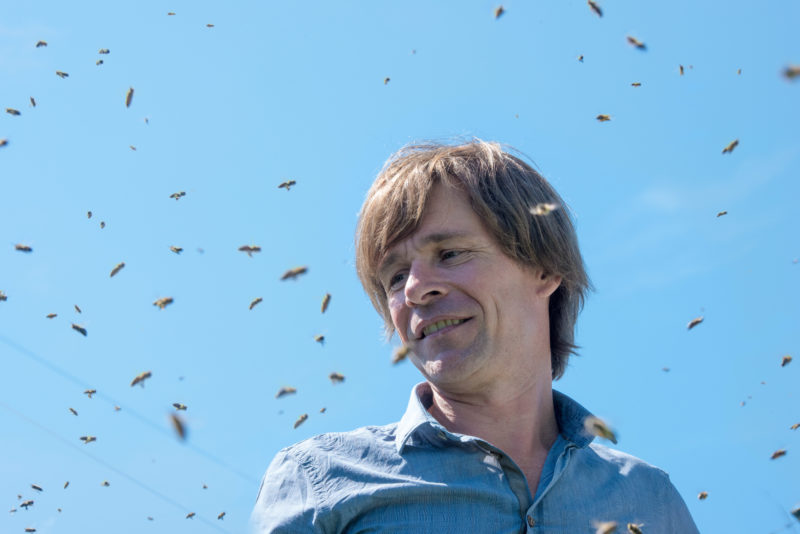 Employees photography: An employee runs a beehive in his company. The beekeeper without protective clothing is surrounded by his flying bees and the blue sky.