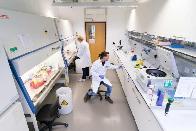 Science photography: Staff member in the immunology laboratory of the Faculty of Natural Sciences at the University of Hohenheim.