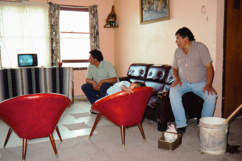 Reportage photography on slide film in the Pine Ridge Reservation in South Dakota, USA: In one of the settlement houses men are sitting in front of the television with one of the children and a rabbit in a basket.