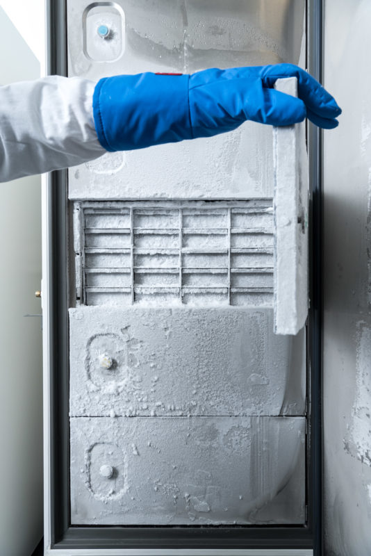 Science photography: This cold chamber contains samples for antibiotics research at the Interfaculty Institute of Microbiology and Infection Medicine Tübingen (IMIT) at the University of Tübingen. A scientist is just opening one of the isolation doors with a thick blue cold protection glove.