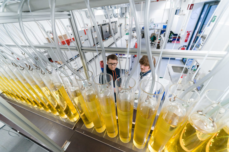 Science photography: Research into renewable raw materials is carried out in a laboratory of the Faculty of Agricultural Sciences, State Institute of Agricultural Engineering and Bioenergy, at the University of Hohenheim.