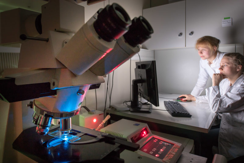 Wissenschaftsfotografie: Zwei Mitarbeiterinnen am Institut für Genetik an der Universität Hohenheim. Im Vordergrund ein Mikroskop im Labor.