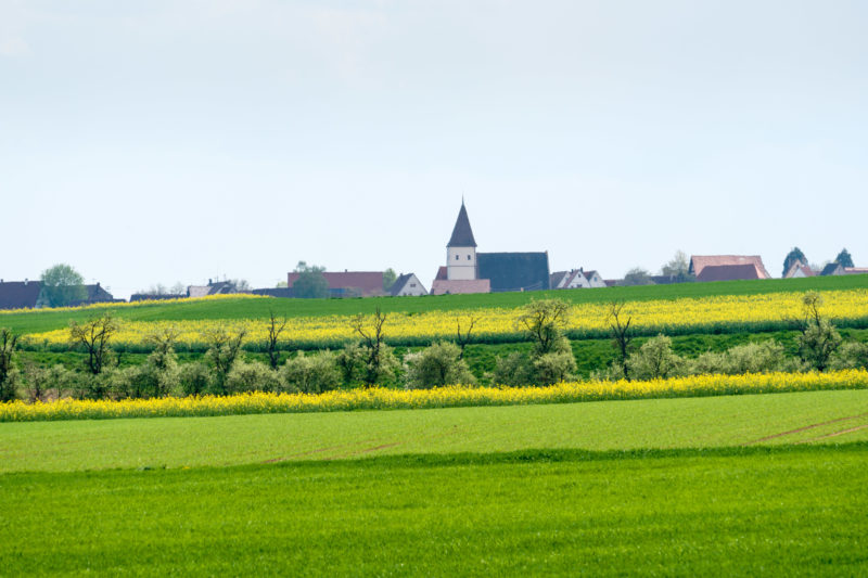 Landschaftsfotografie: Ein süddeutsches Dorf am Rand von Feldern. Alles ist grün und er Raps blüht gelb. Der Kirchturm im Hintergrund überragt die Häuser.