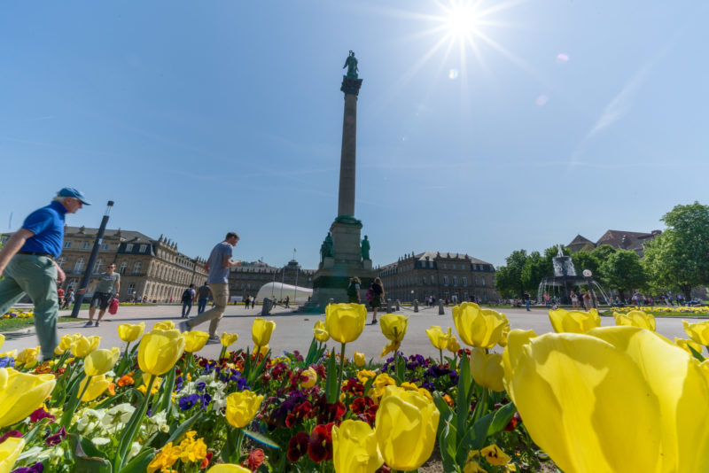 Cityscape photography of Stuttgart: City view from the Schlossplatz in Stuttgart in summer. In the foreground a flowerbed and behind it the anniversary column in front of the New Palace.