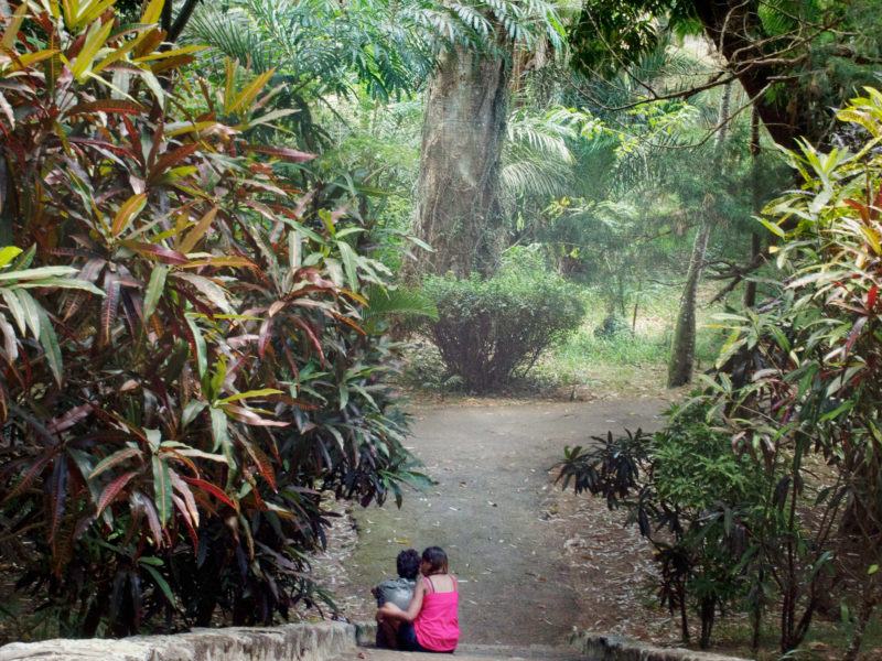 travel photography: Mauritius: A native pair of lovers in the Sir Seewoosagur Ramgoolam Botanical Garden in Pamplemousses.