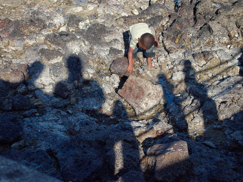 travel photography: Mauritius: A small boy collects finds on the shore. In his hand he has a black starfish.