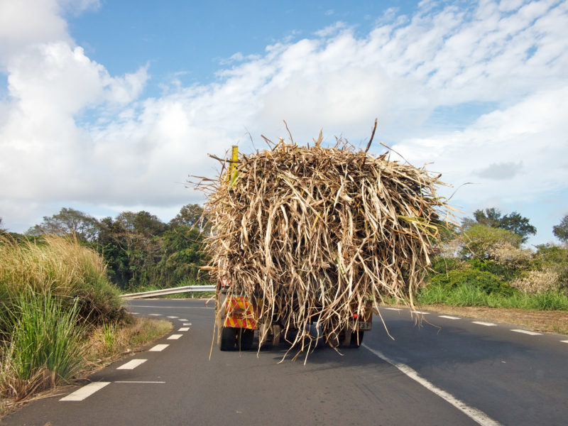 travel photography: Mauritius: An overloaded truck transports harvested sugar cane to the factory.