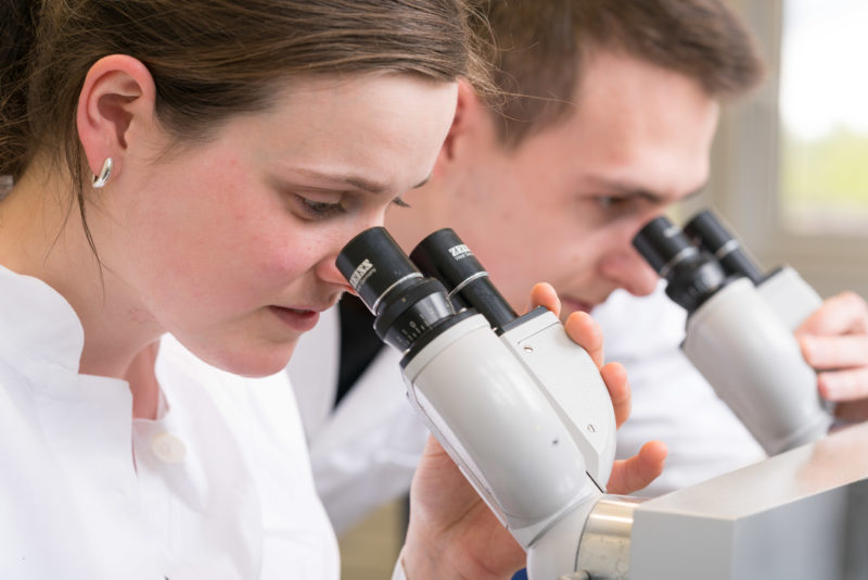 Wissenschaftsfotografie: Studierende der Universität Hohenheim am Mikroskop.