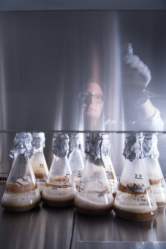 Science photography: Research for new antibiotics: A team member prepares a gel for DNA analysis using gel electrophoresis in a laboratory at the Interfaculty Institute of Microbiology and Infection Medicine Tübingen (IMIT) at the University of Tübingen.