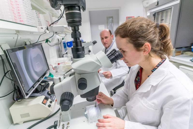 Science photography: Research at the Max Planck Institute for Developmental Biology in Tübingen.