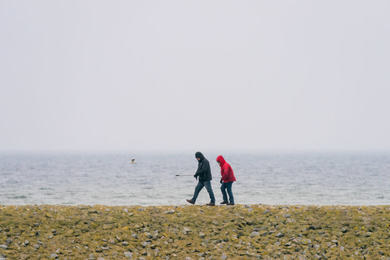 Nature photography: Birds at the Baltic Sea coast, Image 08 of 27