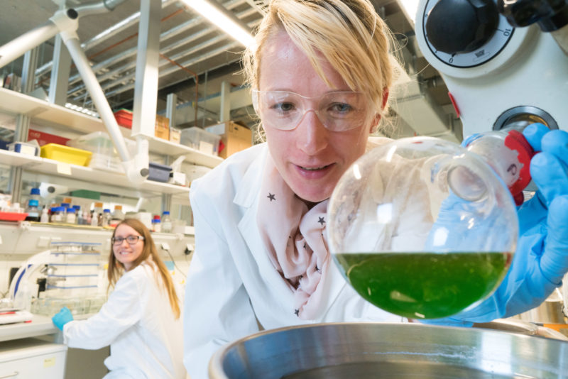 Wissenschaftsfotografie: Eine Mitarbeiterin an der Universität Hohenheim mit einer grünen pflanzlichen Substanz.