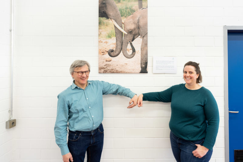 Reportage photography: Scientists create artificial ivory: The two scientists under the photo of an elephant. They hope that their newly developed material will help the elephants, whose tusks are traded illegal.