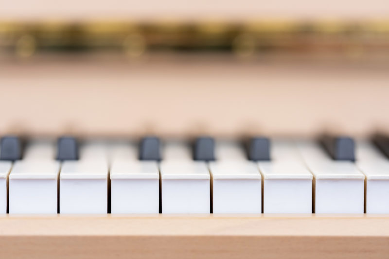 Reportage Photography: Scientists create artificial ivory: Artificial ivory can be used for piano keys. Close-up of piano keys.