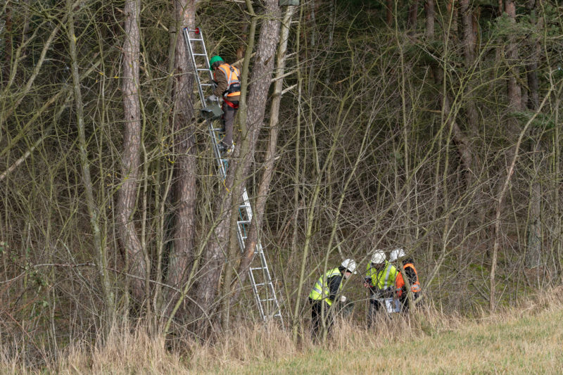 Fotoreportage bei Fledermausspezialisten: Bei Fotoreportagen sind unterschiedliche Distanzen zwischen den einzelnen Fotos wichtig. Hier ein Bild aus weiterer Entfernung, das mehr vom Umfeld zeigt.