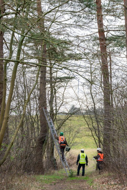 Photo reportage with bat specialists: A shot of the team during documentation work from a greater distance