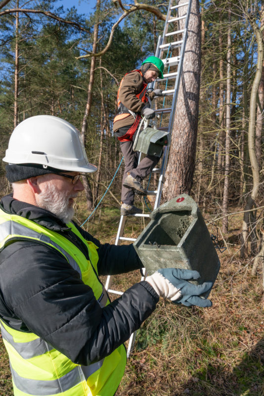 Photo reportage at Fledermausspezialisten: After opening the nesting box, the contents are analysed and noted down.