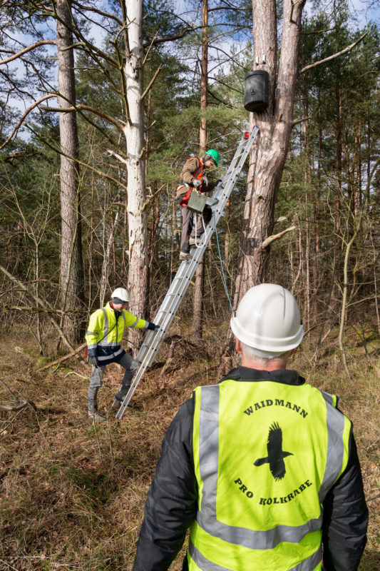 Photo reportage by bat specialists: compensation measures at large construction sites require regular scientific monitoring.