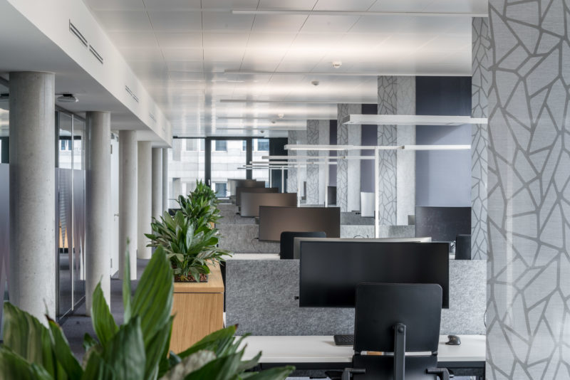 Architectural photography: In the long open space of a modern office building, one can see the tables lined up one behind the other with screens of the shared-space concept, which enables every employee to use every available seat.