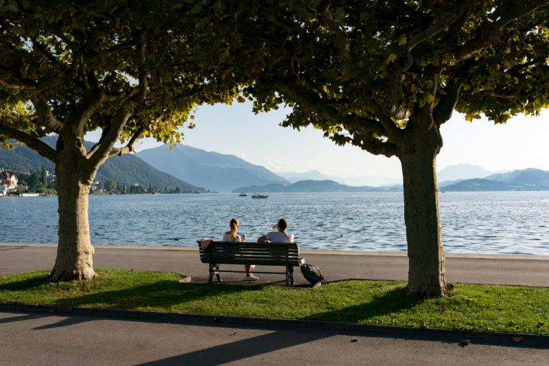 Stadtportrait: Zug am Zuger See. Unter zwei Bäumen sitzen eine Frau und ein Mann auf einer Bank und schauen auf den abendlichen Zuger See. Dort sind ein paar Boote unterwegs.