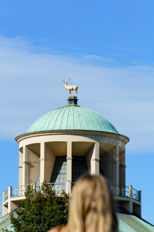 Stadtportrait Stuttgart: Auf der Kuppel des baden-württembergischen Kunstvereins steht die goldene Skulptur eines Hirsches vor dem blauen Himmel. Eine blonde Frau ist unscharf im Vordergrund abgebildet.