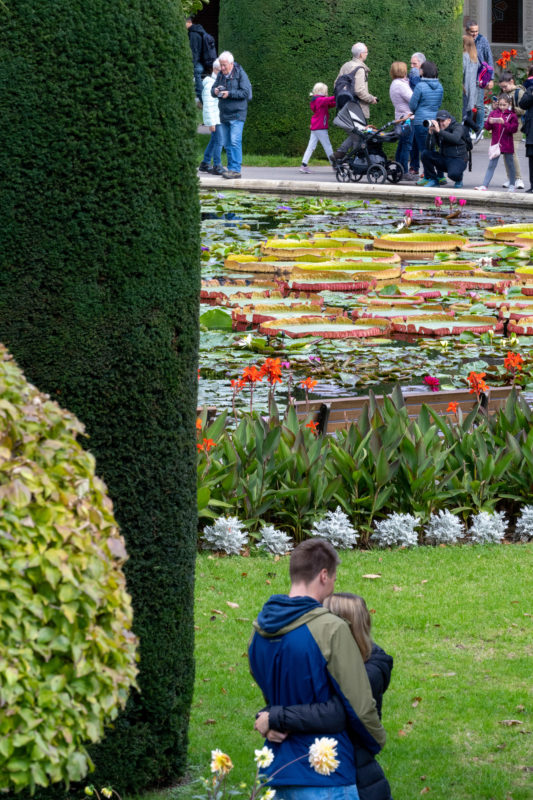 Stadtportrait Stuttgart: Ein Liebespaar vor dem Seerosenteich in der Wilhelma.